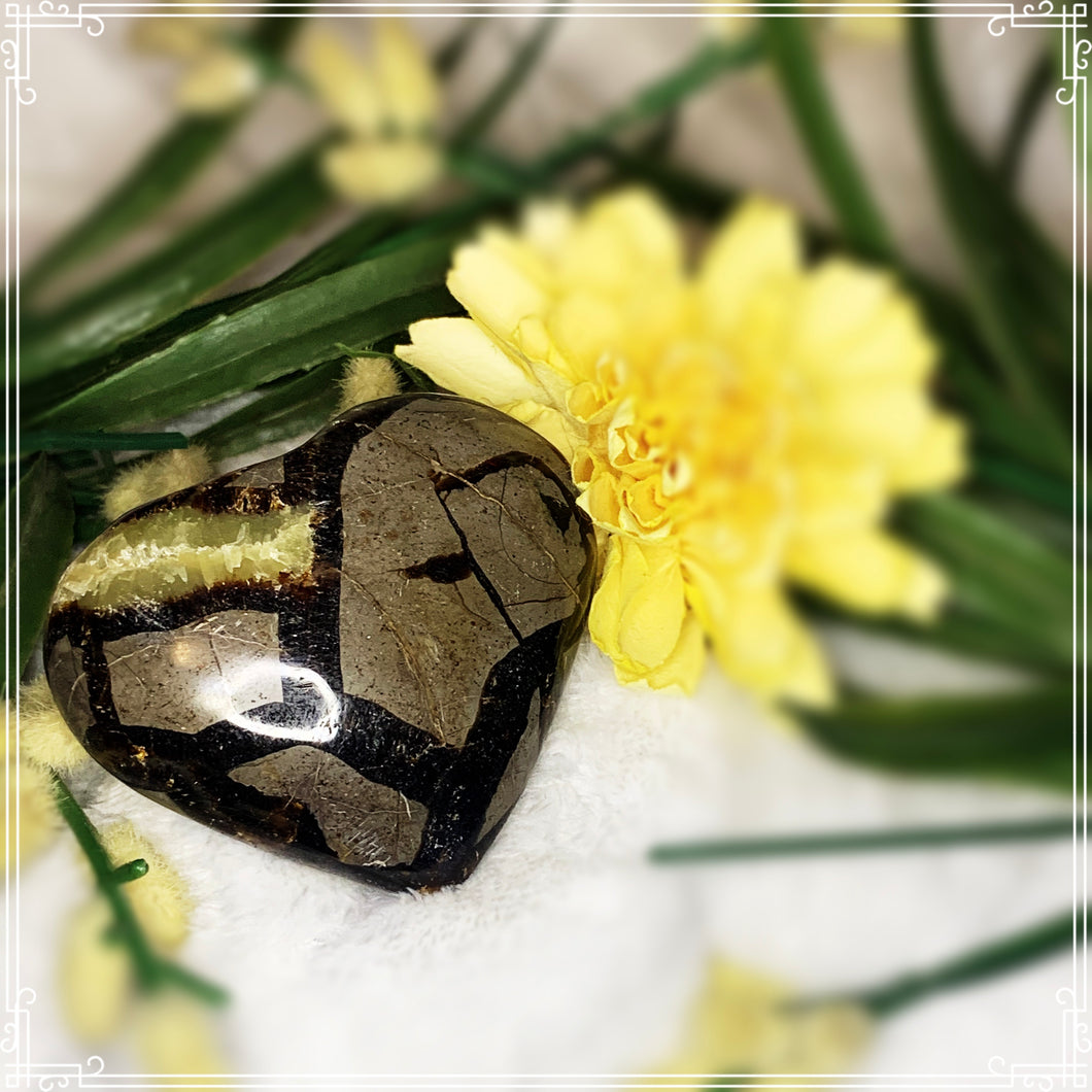 Septarian Heart