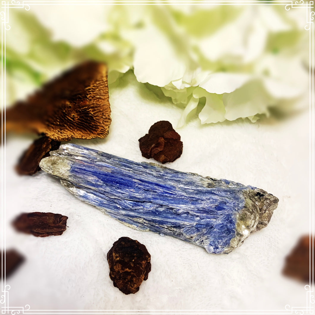 Large Raw Kyanite